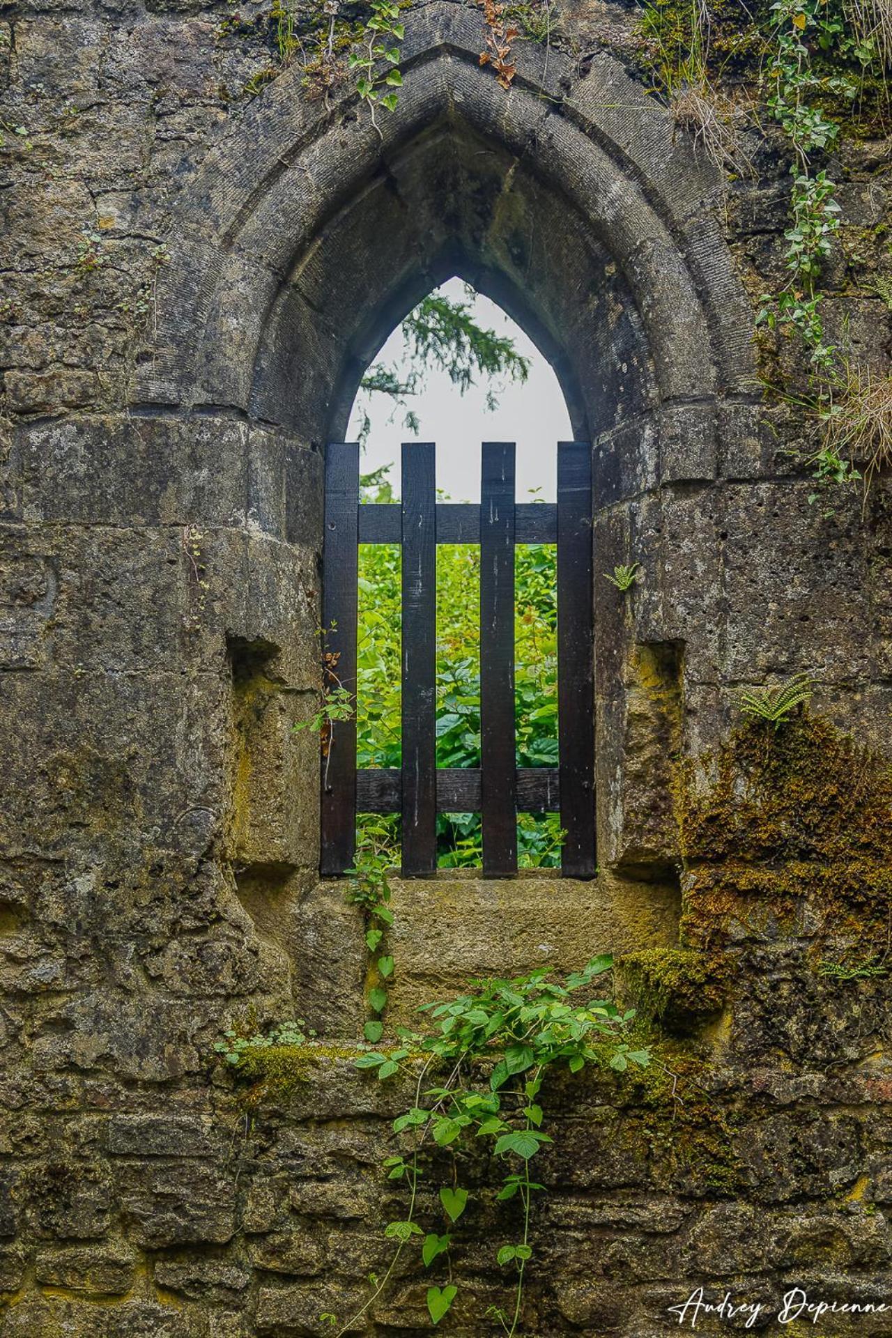 Bed and Breakfast Orval16 Abbaye d'Orval Exterior foto
